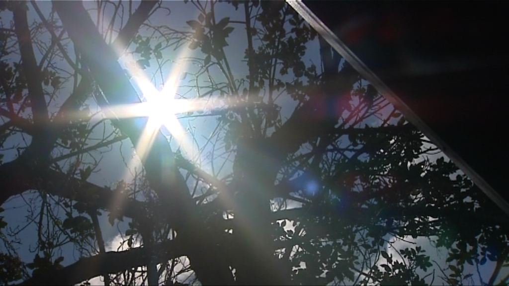 天文台錄得34.8度　72年來最熱佛誕日