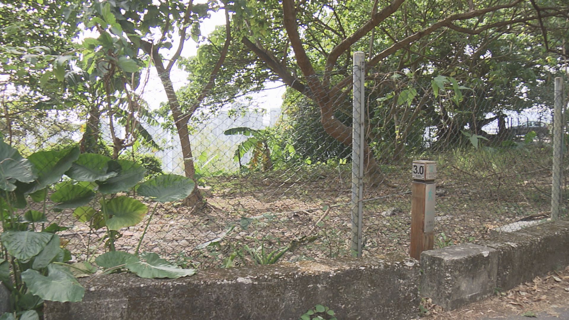 政府招標售荃灣油柑頭住宅地作港人首置項目