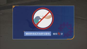 公屋扣分制增三項不當行為 餵鴿扣7分 阻房委會辦公扣15分