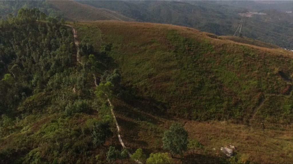 大欖及馬鞍山郊野公園邊陲作建屋試點