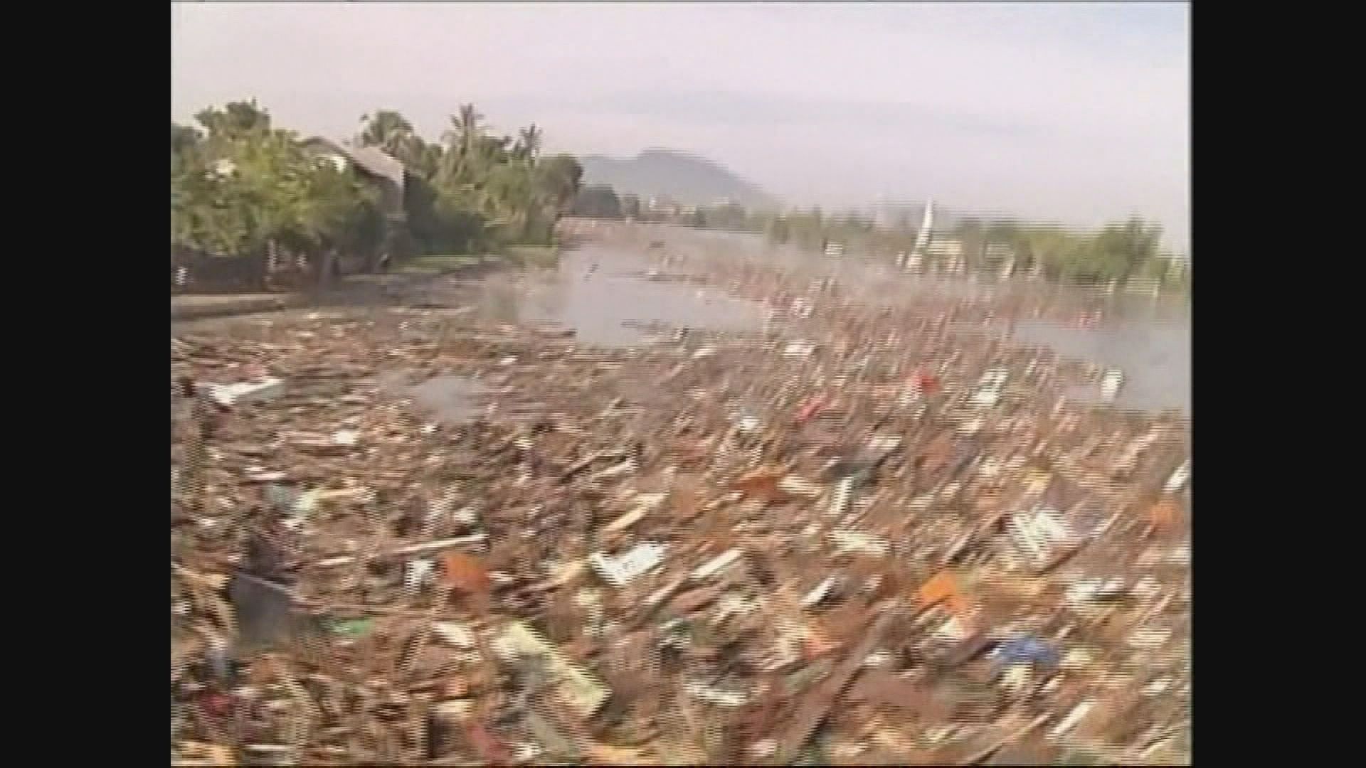 印尼中部地震　海嘯警報半小時後撤銷遭狠批