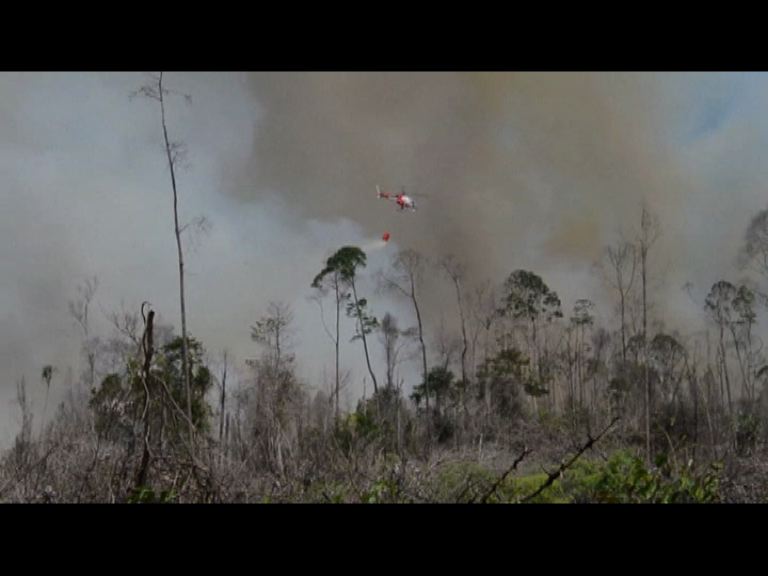 印尼向四國家求助滅山火