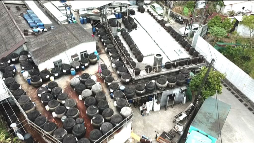 新舊融合傳承「天然生曬」醬香味