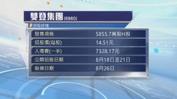 雙登集團首日招股