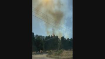 以軍空襲黎巴嫩南部 報復真主黨連續兩天襲擊以軍設施