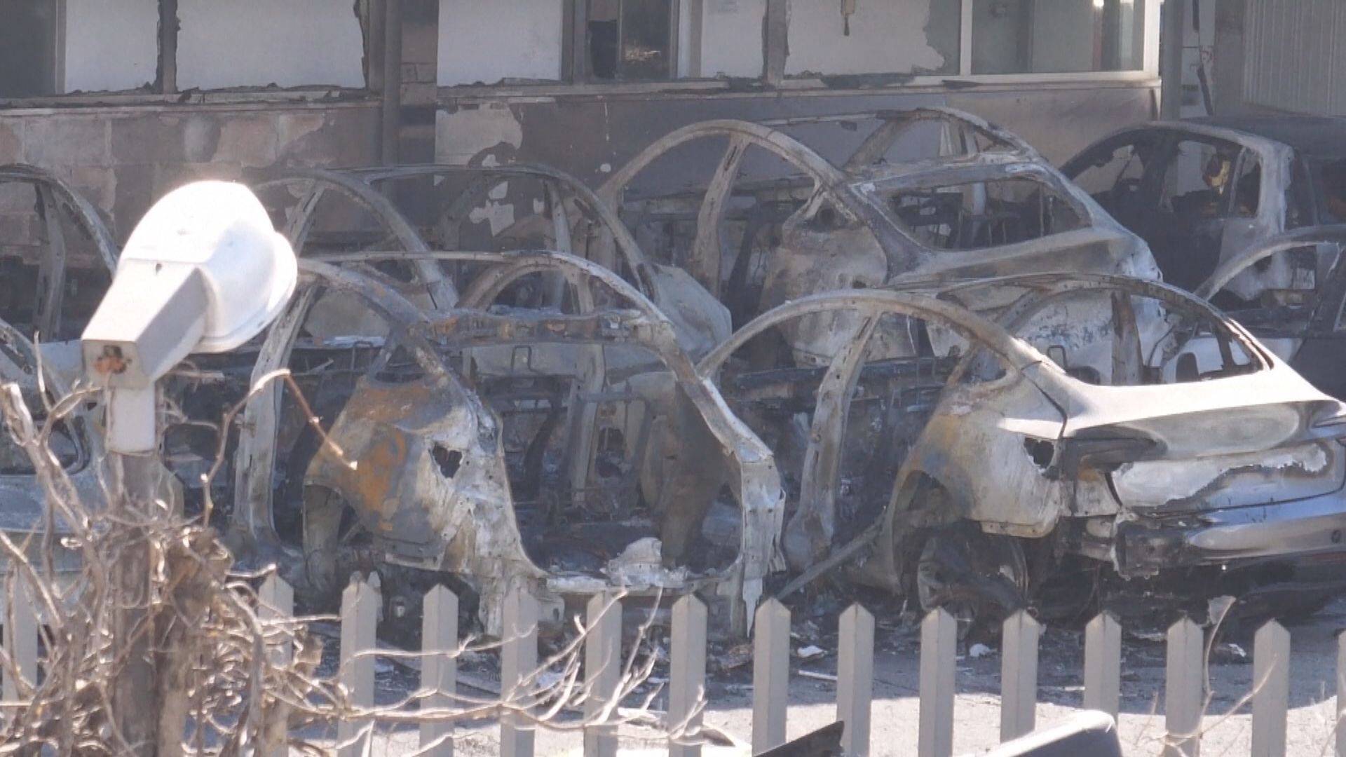 反Tesla浪潮升溫　意大利及德國有陳列室遭破壞