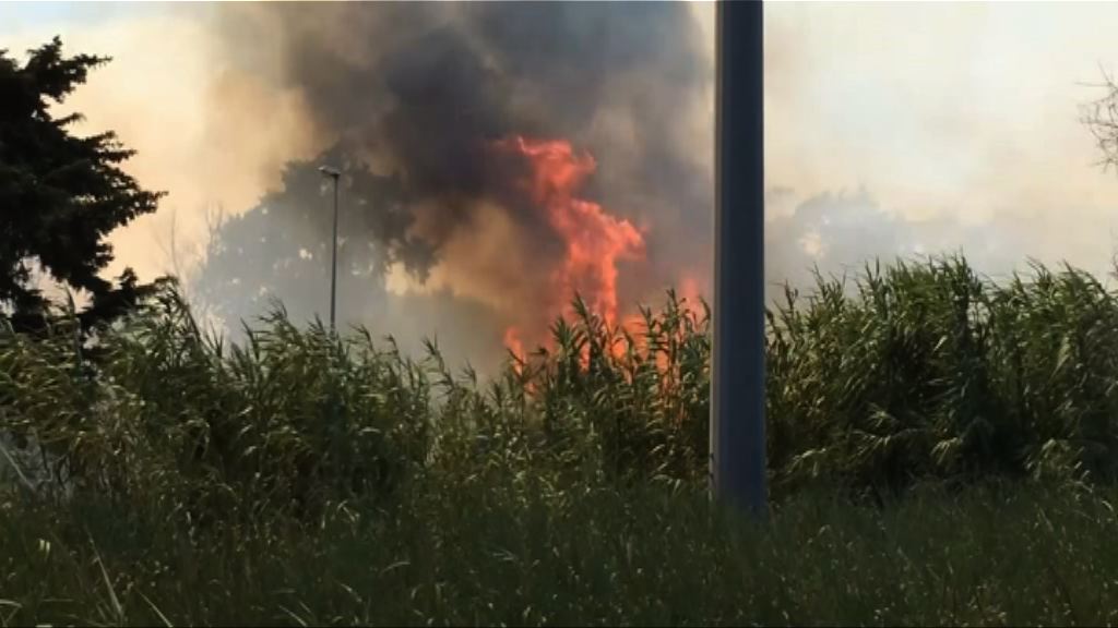 山火續肆虐意大利及克羅地亞