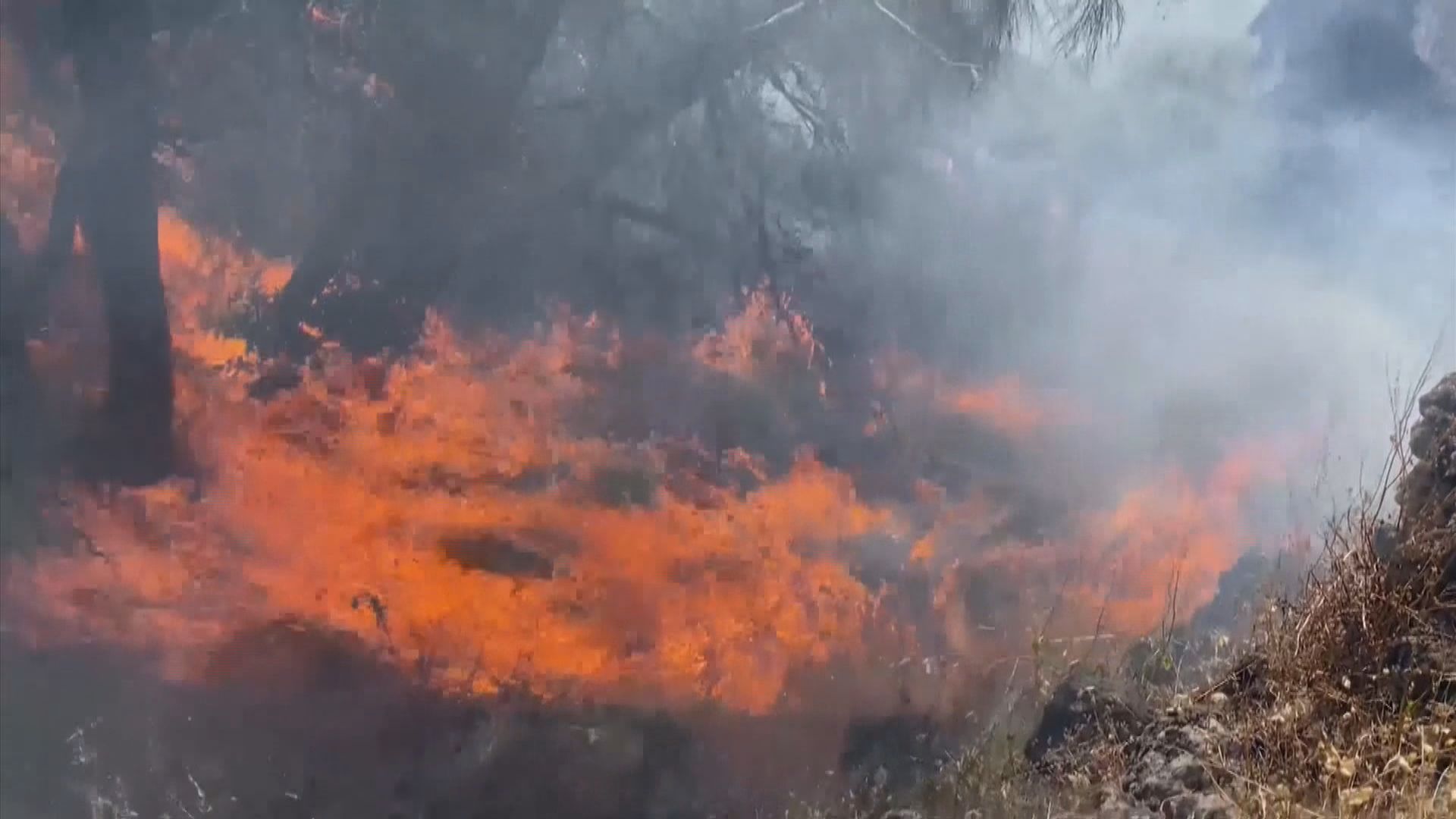 歐洲南部多國發生山火　意大利有農夫涉縱火被捕