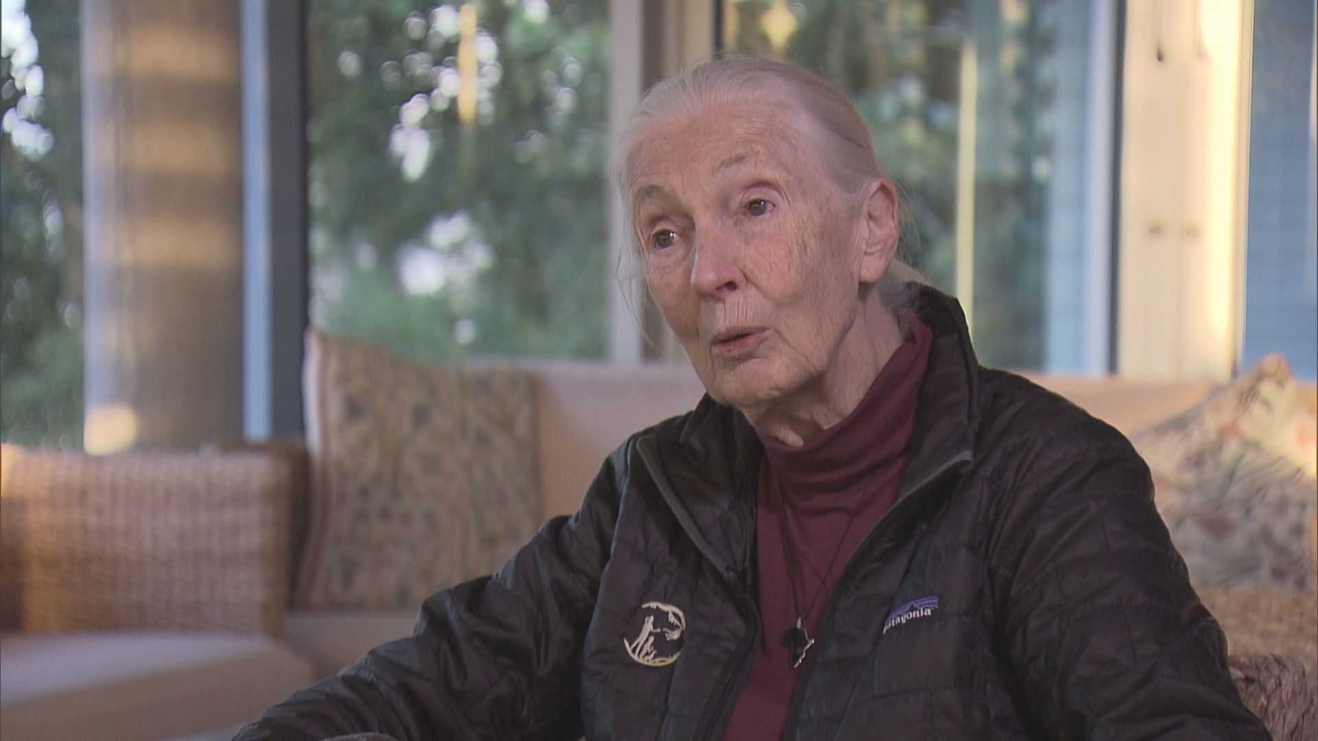 分享訪港感受　珍古德指港人關注可持續發展及環保　冀公眾多親近大自然