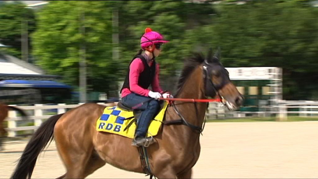 騎師體能要求高　即日起招募