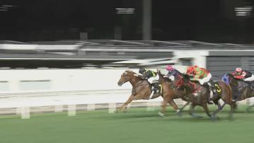 今季賽馬總投注額逾1388億元　較上季度增3%