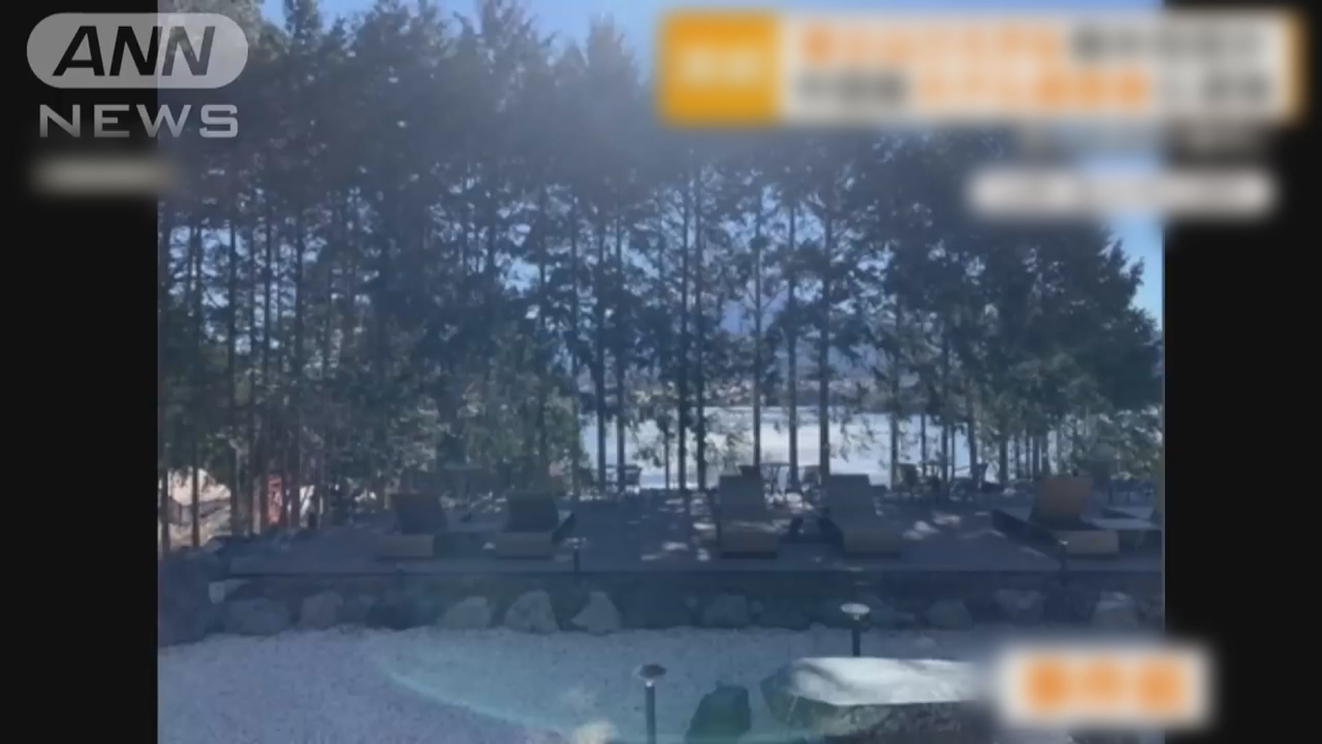 日本旅館中國籍老闆不滿富士山美景被擋　違規砍23棵樹被捕