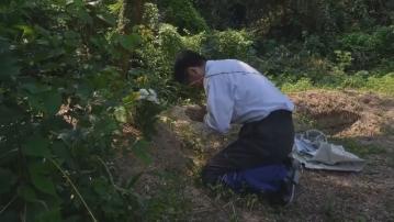 廣島原爆80年｜研究員起回遺骸　為身份不明罹難者作紀錄