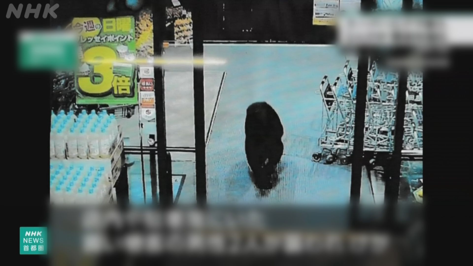 日本群馬縣有熊闖入超市　兩顧客受傷