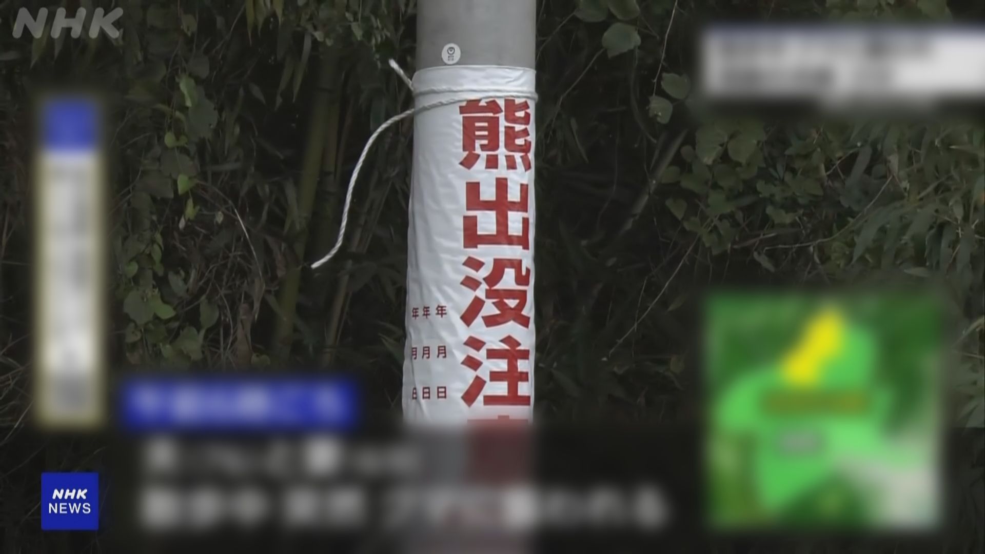 熊出沒注意｜日本群馬縣年長夫婦散步時遭熊咬傷送院