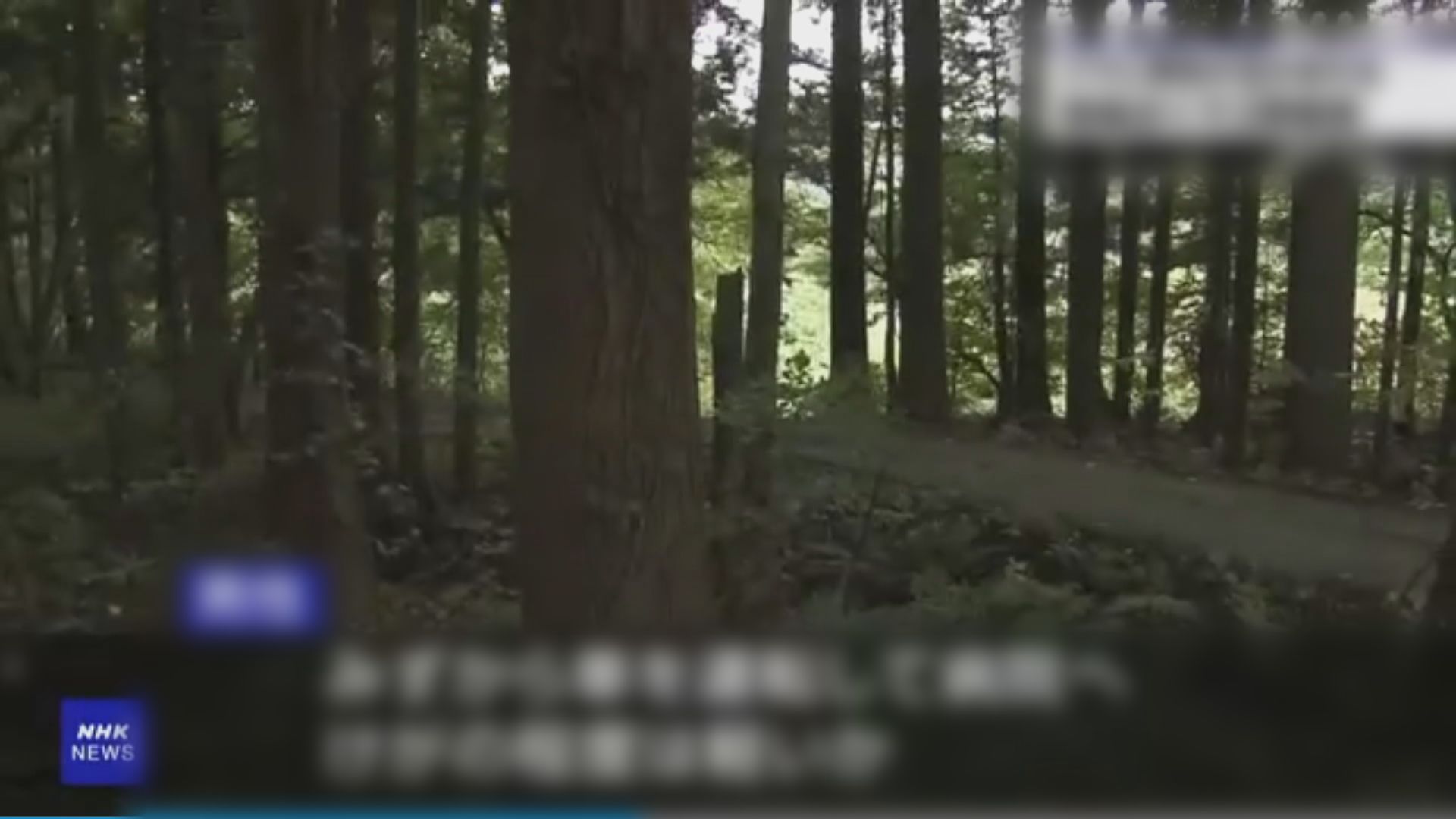 遊日注意｜日本多地再有熊出沒　岩手縣61歲男子腿部被熊咬傷