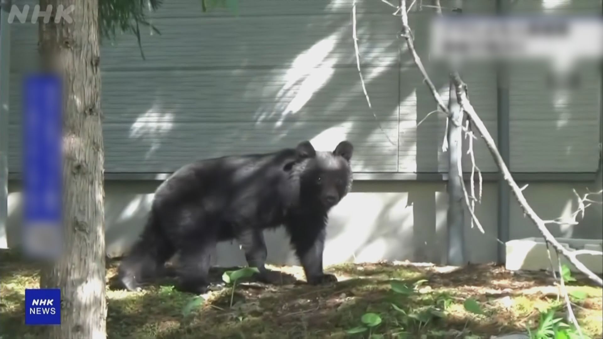 日本警察廳准許警員使用步槍獵熊