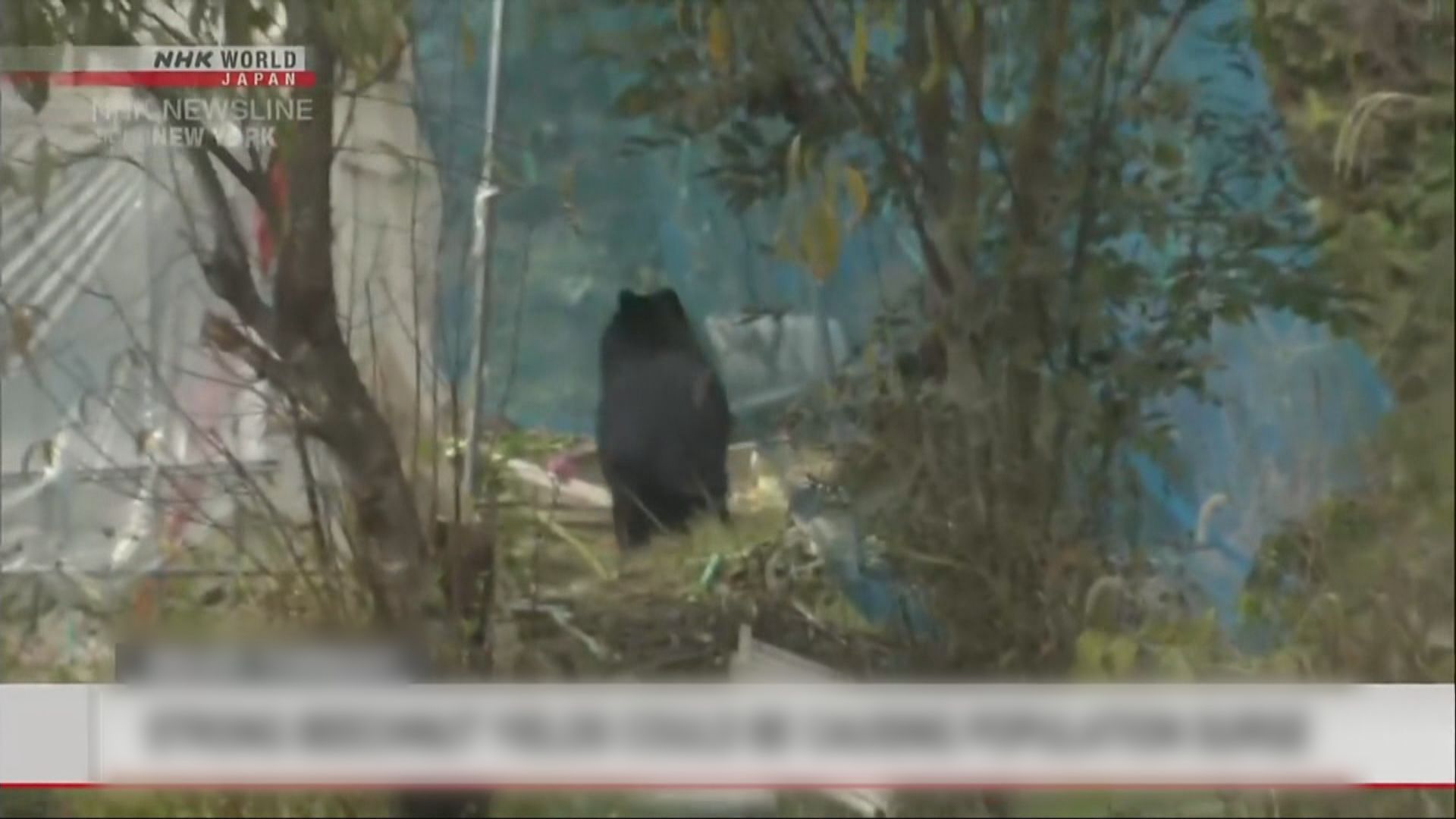 日本福島縣自衛隊員在演習場遭熊襲擊受傷