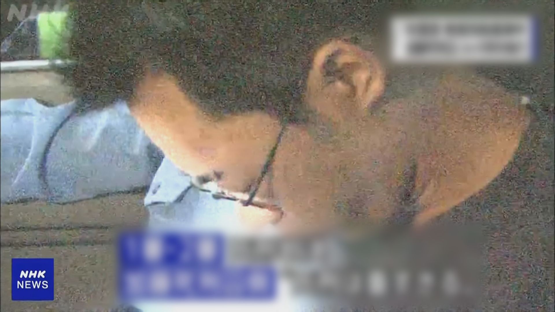 2008年東京秋葉原隨機殺人案兇手被處決