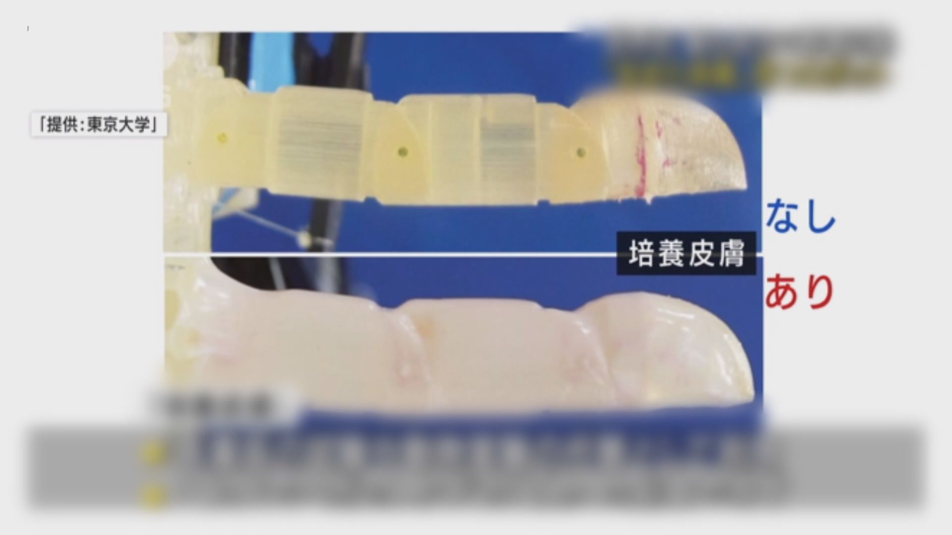 日本科學家以人類細胞製成「皮膚」覆蓋機械手指