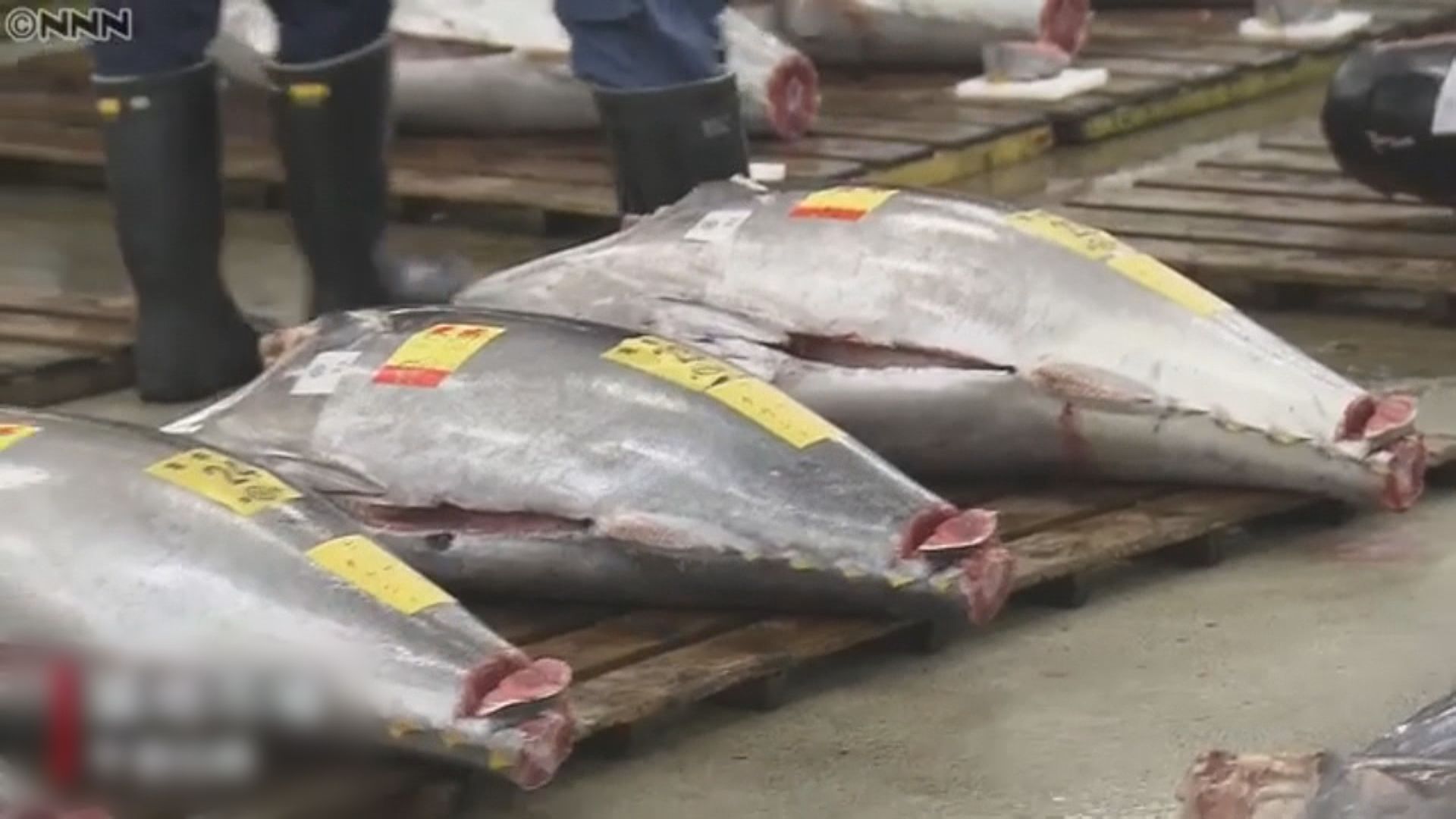 日本逾80年歷史的築地市場正式關閉