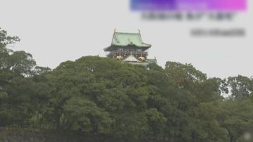 日本大阪東護城河出現大量死魚　死因有待調查