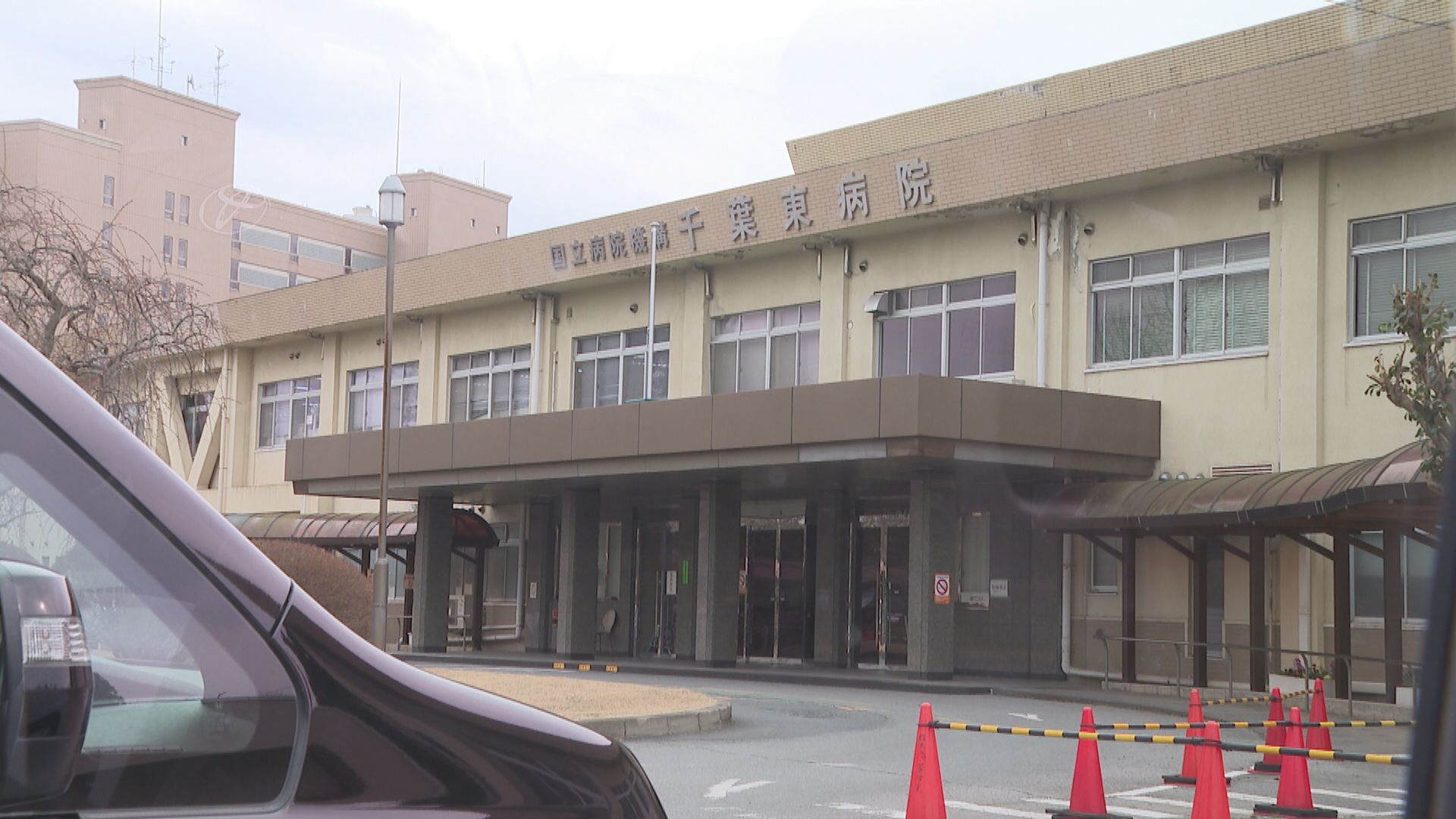 鑽石公主號上在日留醫港人盼康復後早日回港