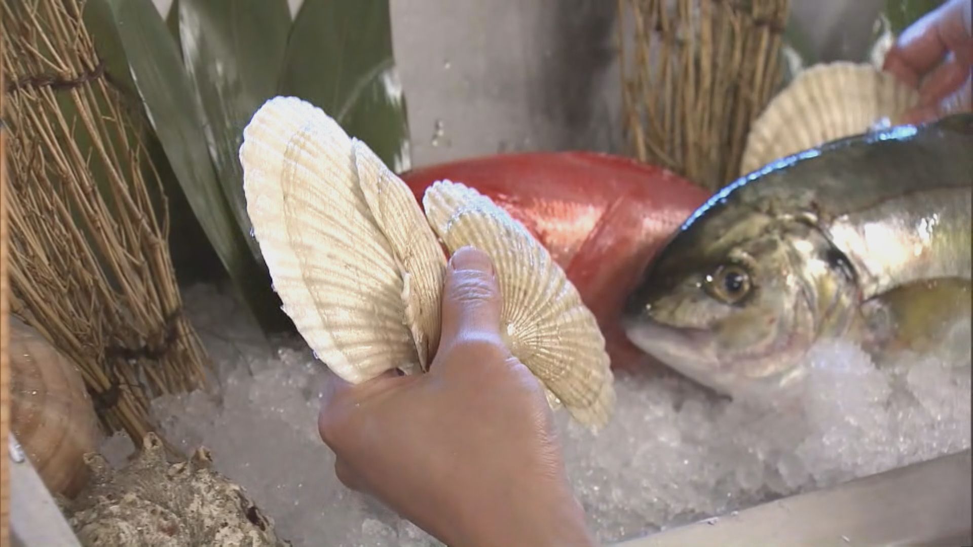 日式餐廳料禁令實施後來貨價貴約一成 冀政府協助保障貨源穩定