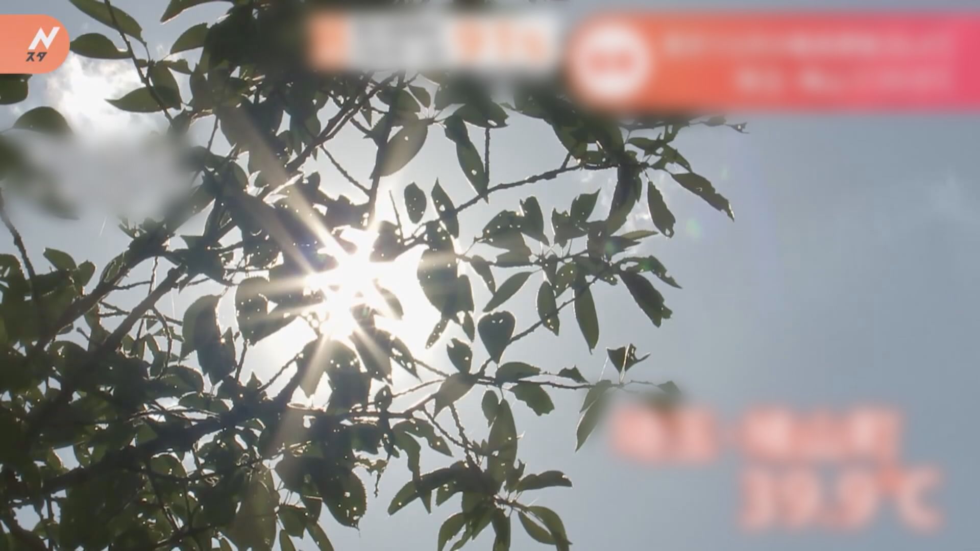 日本酷熱天氣持續　關東多地發布中暑警報