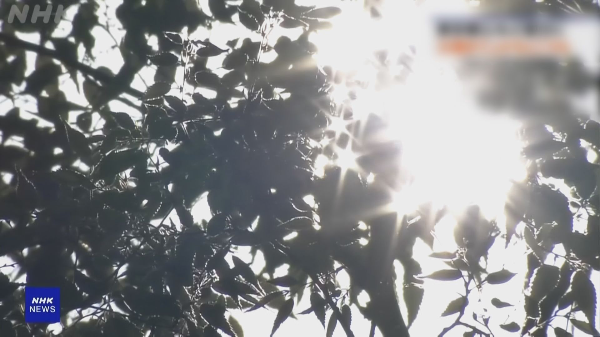 日本高溫｜東京錄28°C、兵庫長野等多地升穿30°C