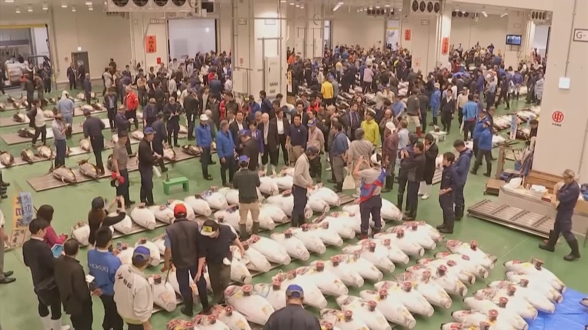 東京豐洲市場開幕