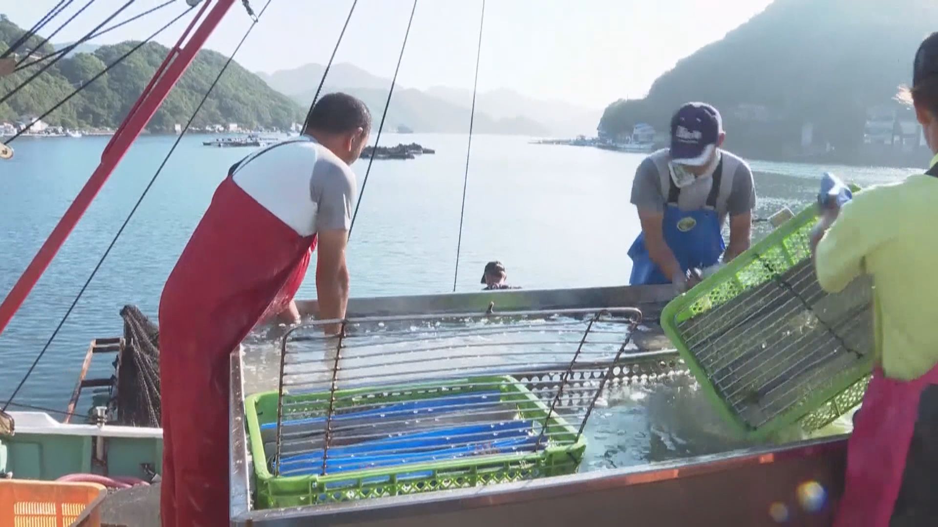 300億日圓賠償基金支持受核廢水問題影響產業