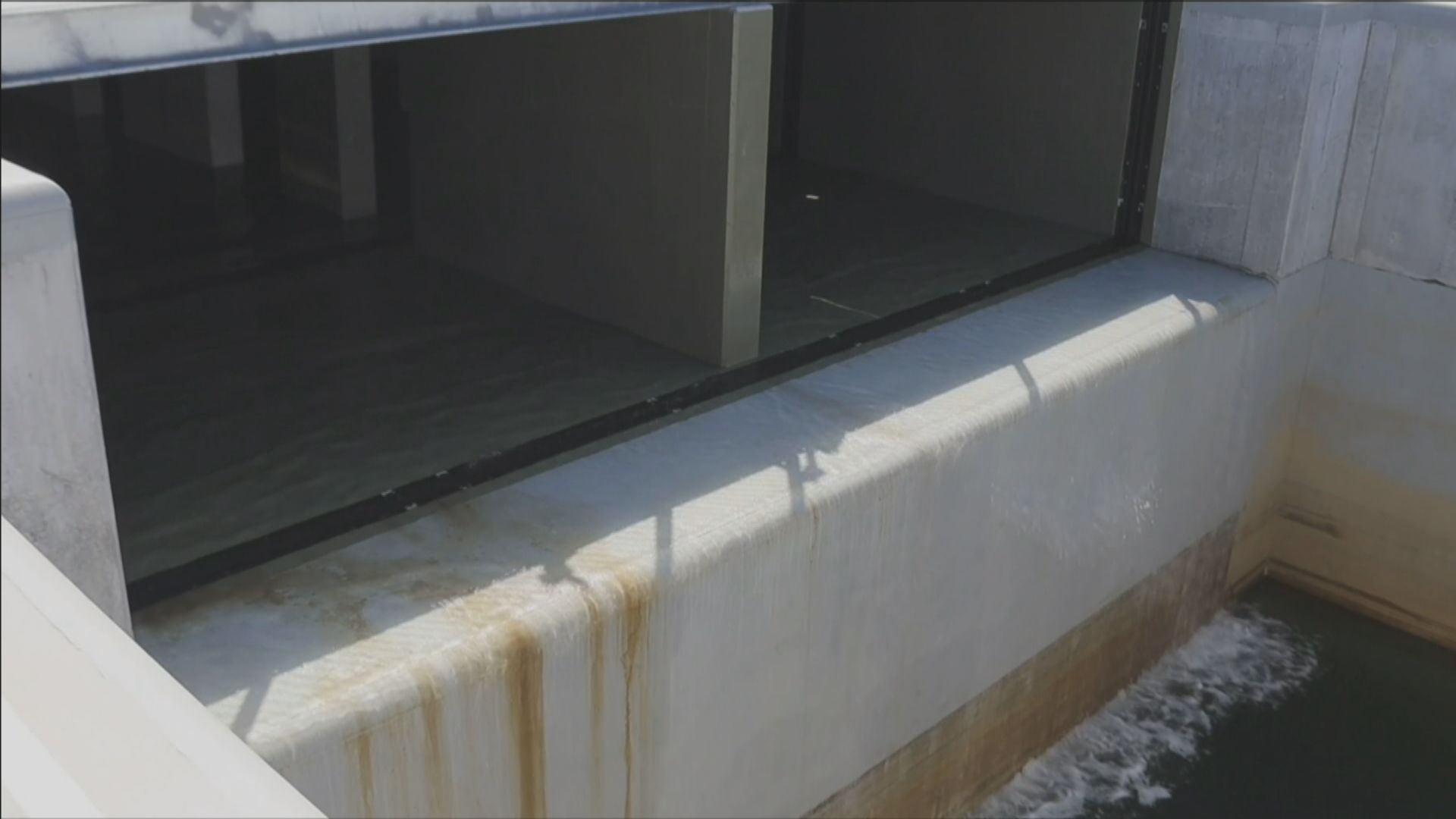 日本水產廳擬下午公布福島附近海魚氚濃度檢測結果