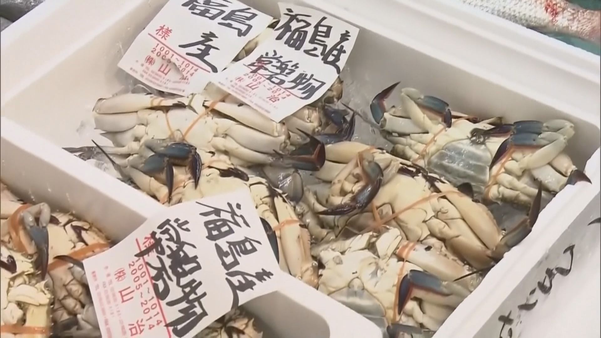 日本政府提出支援水產業界五大對策