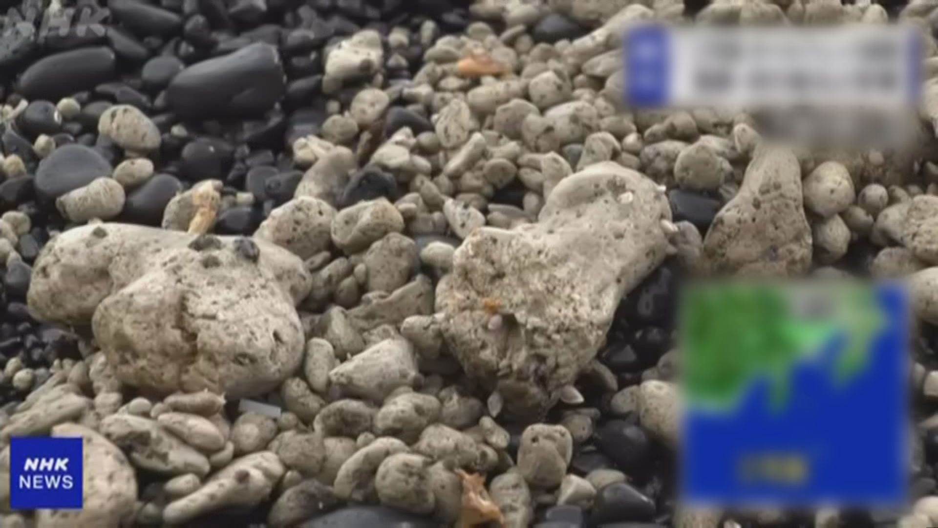 火山岩浮石帶漂至日本伊豆群島　影響當地漁業