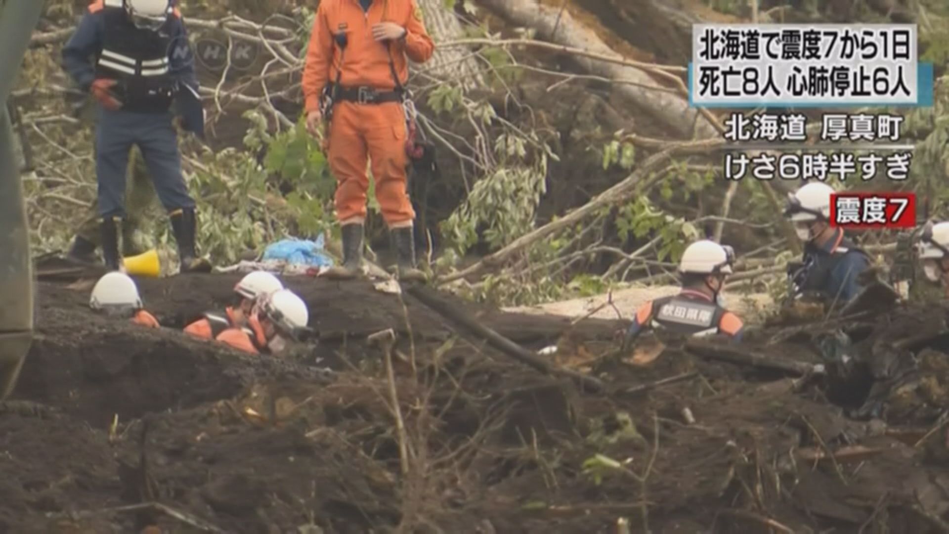 北海道地震　陸空交通陸續回復正常