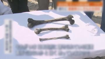 日本二戰時期礦難釀183死　日韓民間團體事隔83年成功打撈頭骨等遺骸