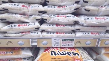 日本米貴｜米價連續四周回落　時隔三月跌穿4000日圓