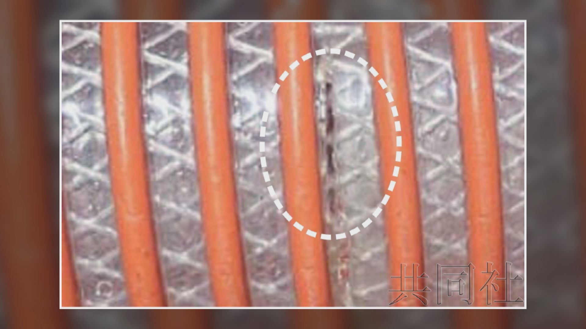 福島核電站軟管核廢水外洩 東電強調非排放用管道