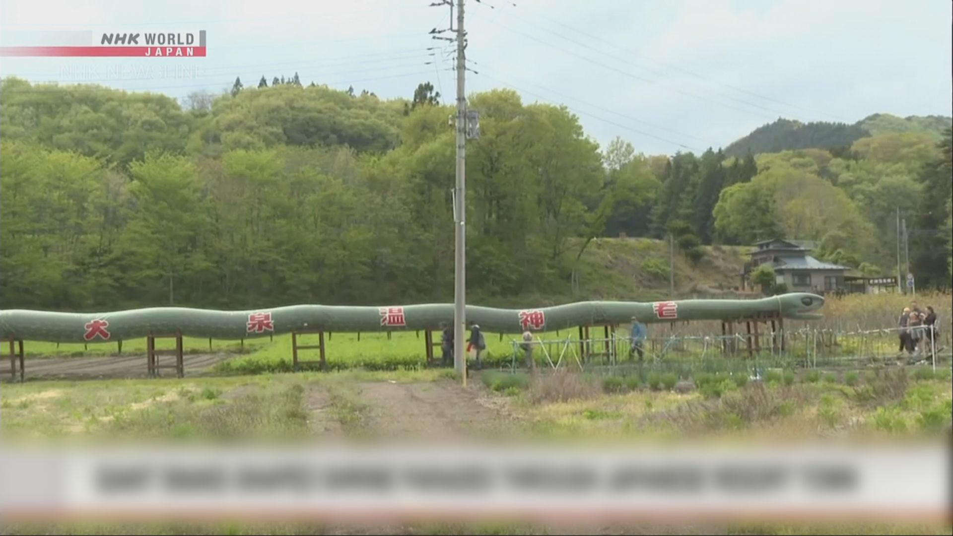 日本老神溫泉大蛇祭　適逢蛇年出動108米長大蛇神轎巡遊