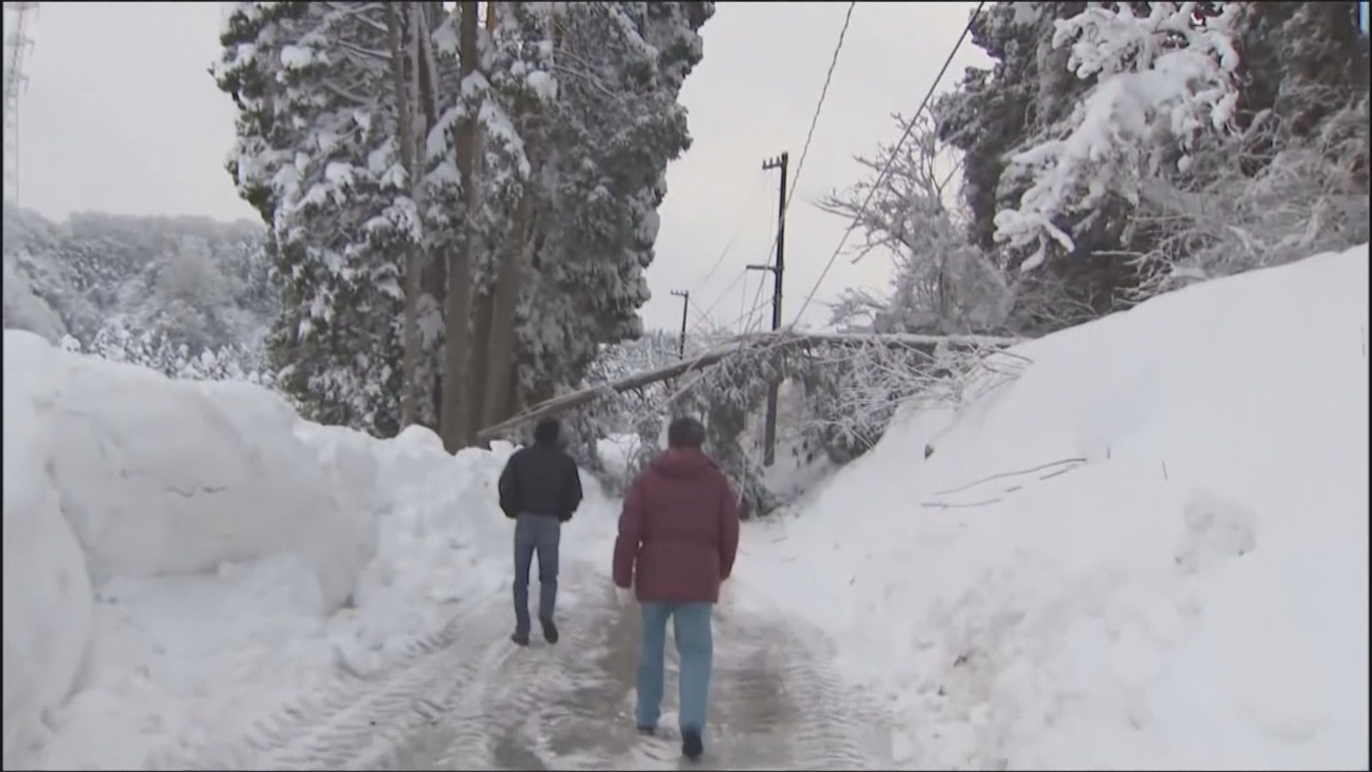 日本多地暴雪持續　降雪量破往年紀錄
