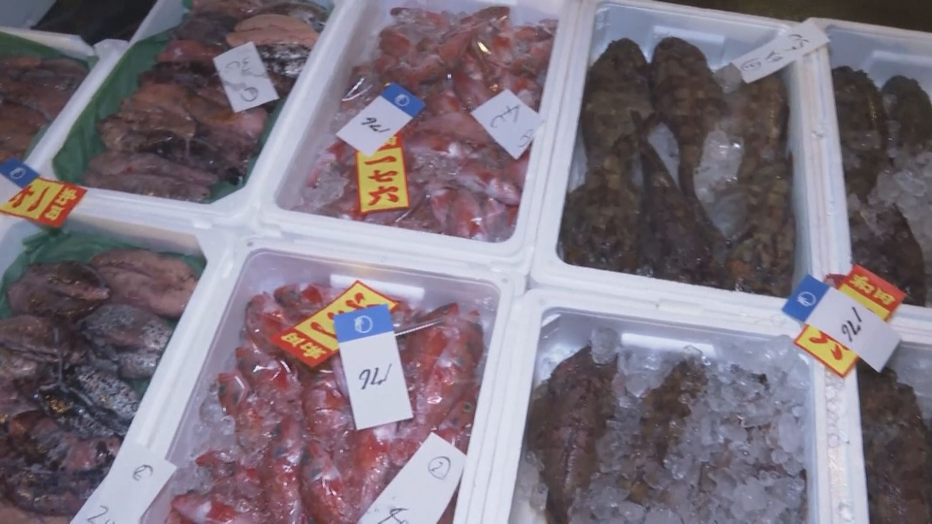 第二輪福島核污水明排放 謝展寰稱續禁十都縣水產品短期難放鬆