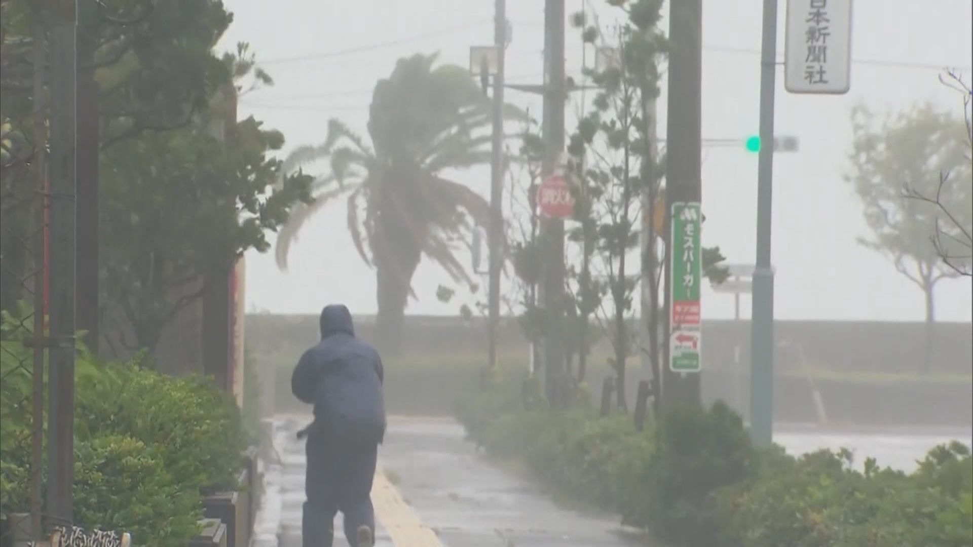 南瑪都登陸鹿兒島後料繼續北上