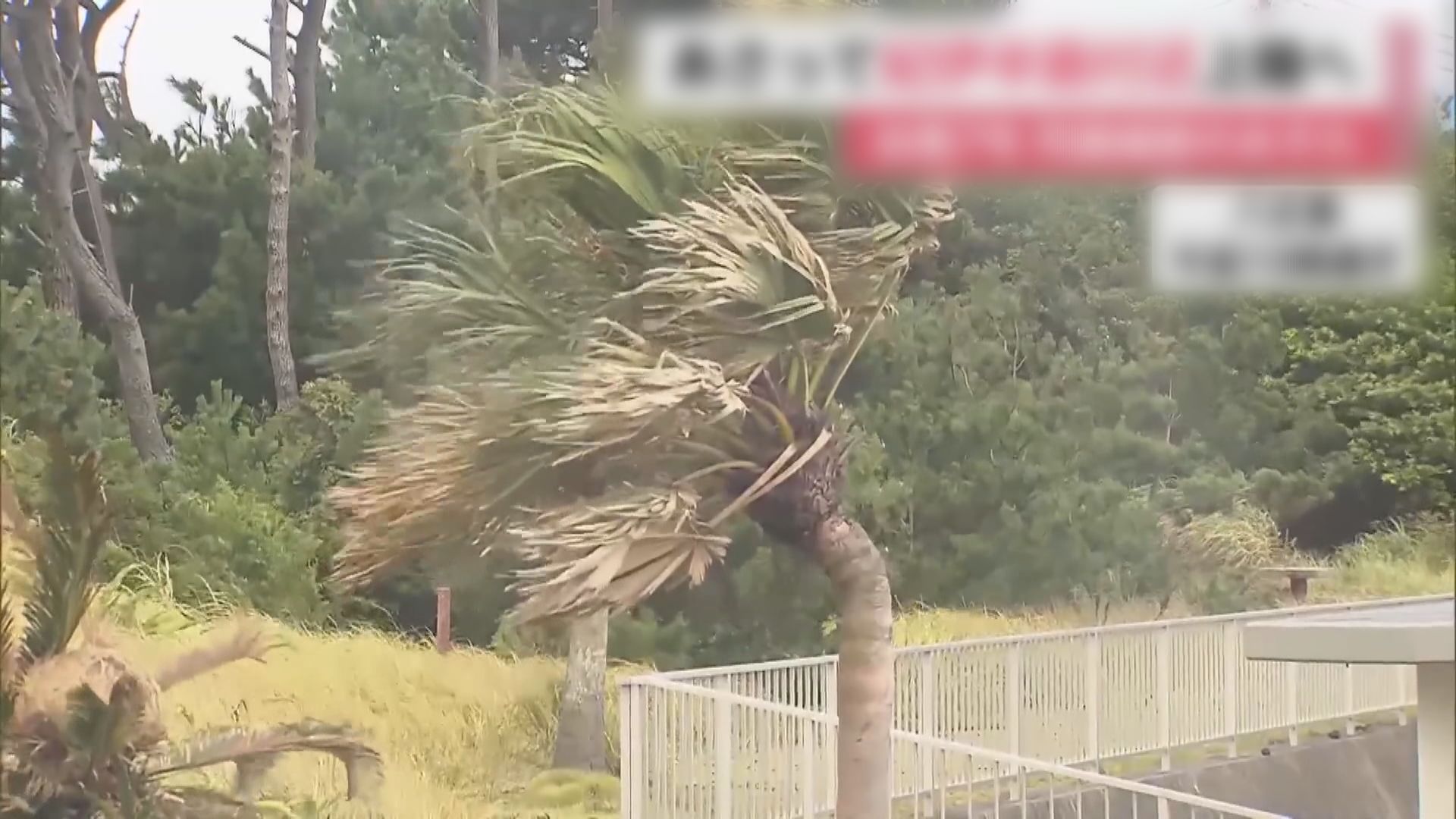 颱風蘭恩逼近日本 東海道新幹線周二或停駛