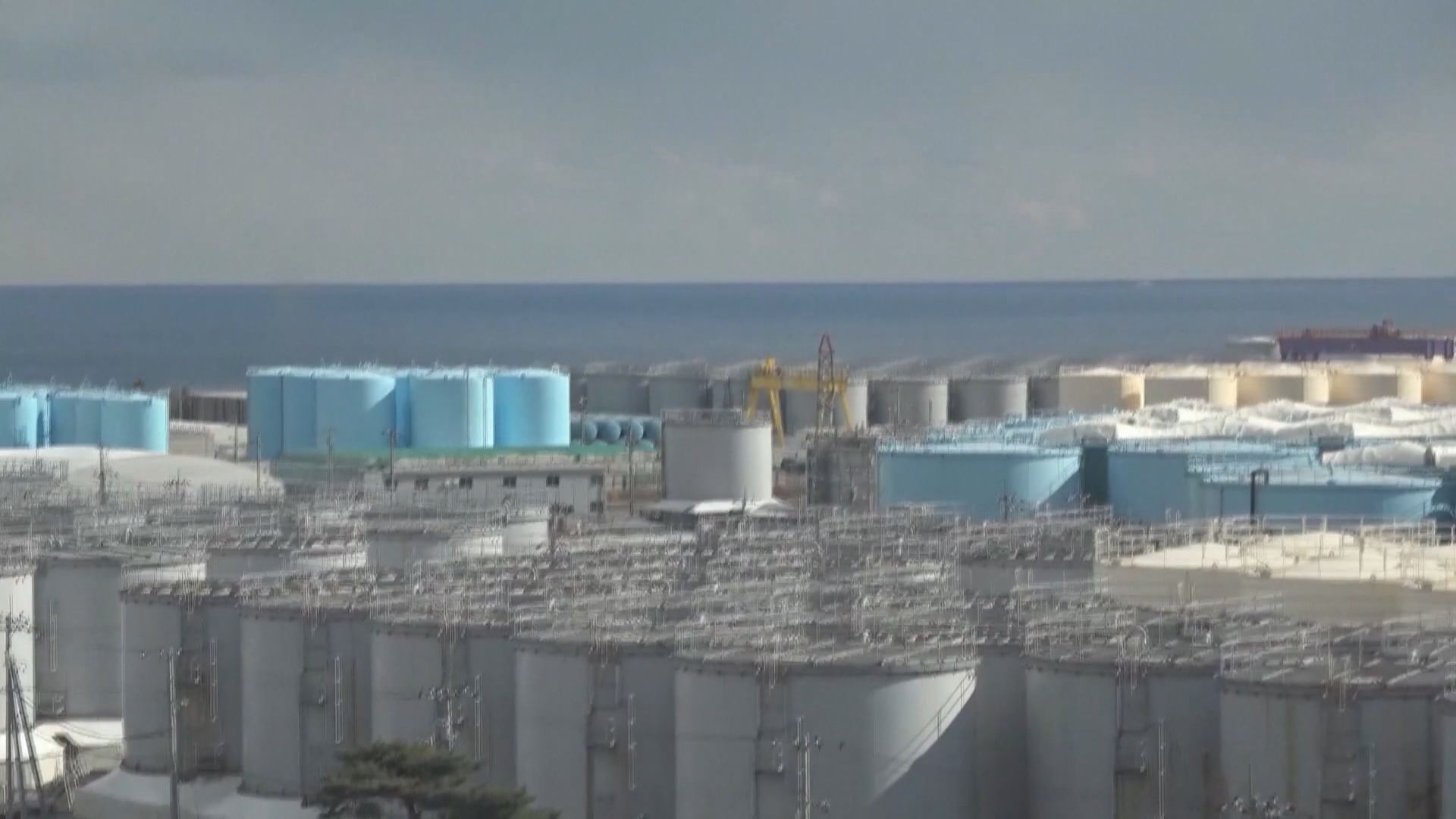 傳最快周四排放核廢水 近九成日本人憂損國家形象