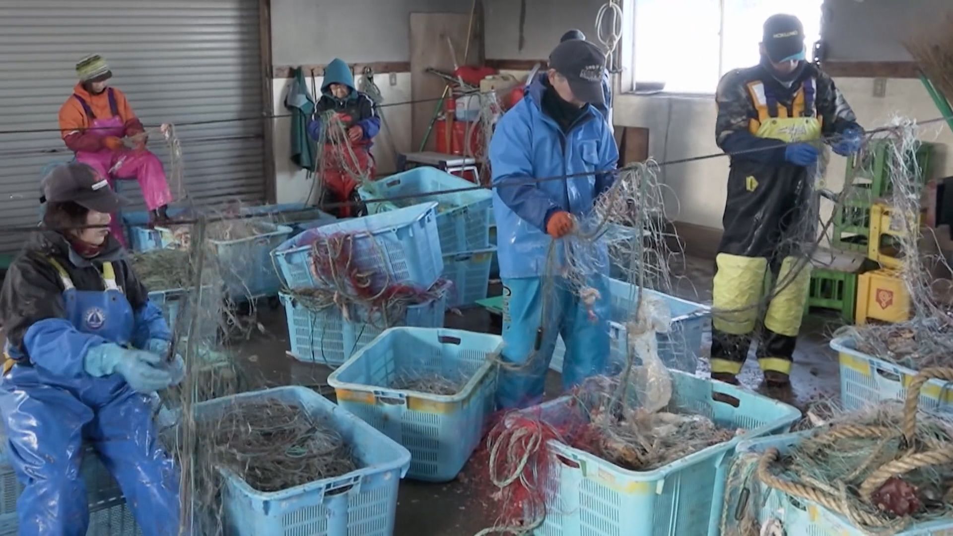 日本擴大「特定技能2號」簽證涵蓋範圍 秋季前後啟動各個工種考試