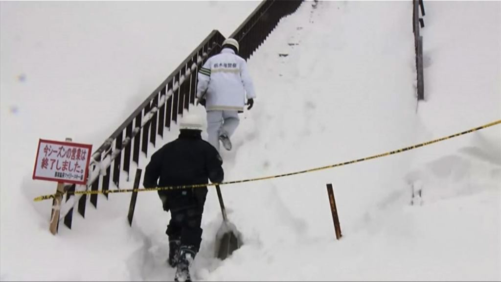 日本滑雪場雪崩8死　積雪太深阻礙救援