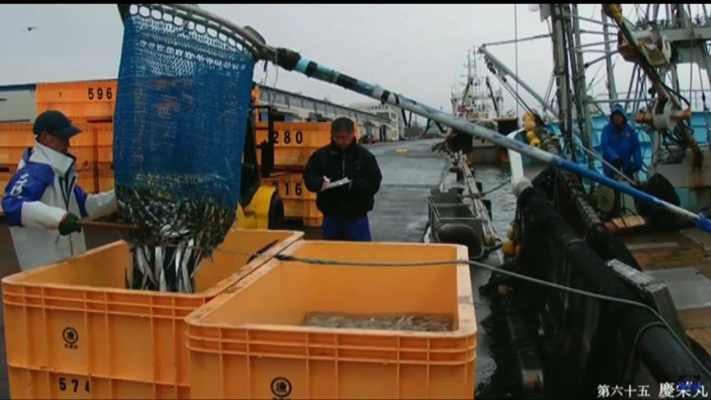 日本倡限捕秋刀魚　中國再反對