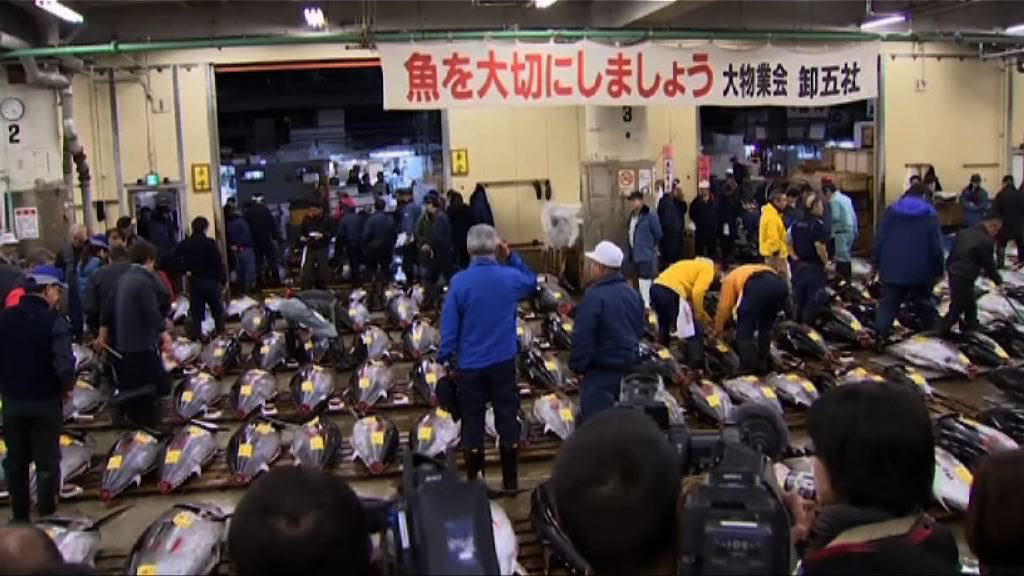東京築地市場搬遷計劃押後