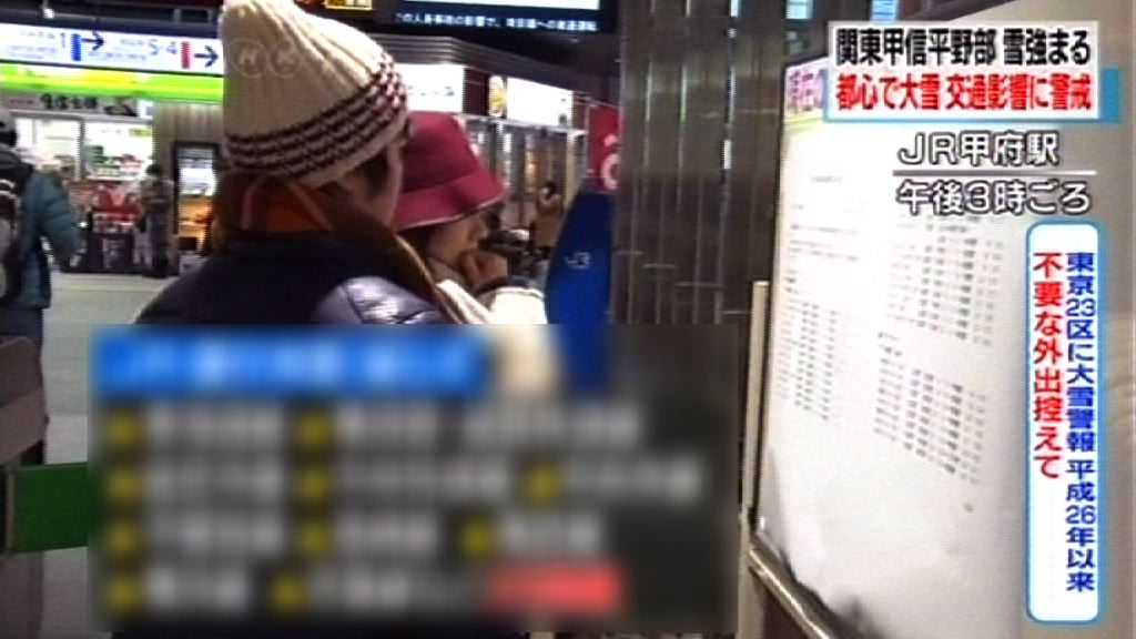 日本東京都大雪陸空交通受阻